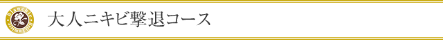 大人ニキビ撃退コース